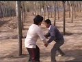 Cui Fushan, Tuishou at the park, part 1