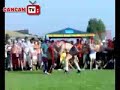 Tolea revansa