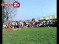 Tolea revansa