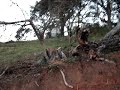 O espet�culo no Vale da Eletr�nica continua (15 de agosto)