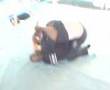 wythenshawe warriors eskrima stick and knife