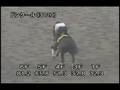 [調教] 080611 ドンクール 「ブリリアントステークス」前追い切り