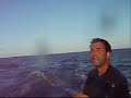 hobie cat 14 sailing