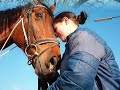 Mein Mädchentraum / Mein Pferd Bandit