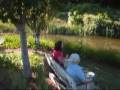 Our Pond Club