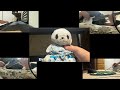 パン吉🐼🎙️ 高嶺の花子さん （instrumental）