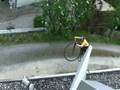 videos de Happy on Bicycle