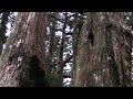 玉置神社