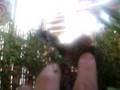 videos de Sukka - 2008 - CJBY de Elche