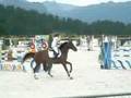 SESTRIERE - Torino SALTO OSTACOLI Jumping Horse