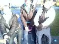 boom,shake,drop