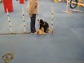 Jan09 013