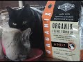 Organic Kitty Food Commercial Organic Kitty Food Commercial