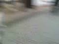 videos de 19-11-08 1423