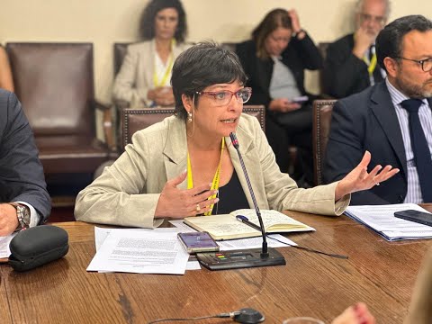 Defensora Nacional advierte que el &ldquo;turbazo&rdquo; ya est&aacute; tipificado e insta a evitar la duplicidad