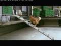 Migros Werbung Huhn