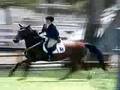 My Riding Bloopers...well, 2 of them