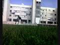 Meia Lua de Compasso + Aerial