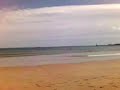 A beached Seal! A beached Seal!