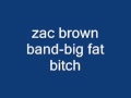 zac brown band-big fat bitch