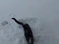 i love snow so much i wana show jacobe the snow to so he will love snow just as much as i do!