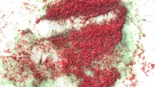 NAP [primary explosive]