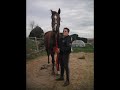 Mab et Poussinet, Ecuries de Longchamp