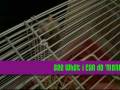 videos de Somersault Hamster