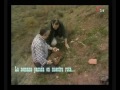 Setas y vino en la Facultad, 2ª Parte