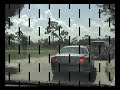 Rhino's Attack At Lion Country Safari!