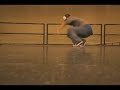 breakdance make your body move breakdance make your body move