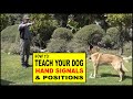 Hand Gestures Dog Training Hand Signals Chart Pdf