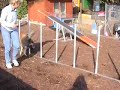 Agility with Cora