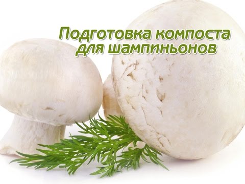 Точечная роспись контурами схемы и трафареты Схемы вышивки крестом / ВЫШИВАЙ. com - Вышивка крестом