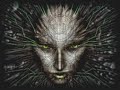Eric-Brosius-System-