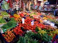 Florence Italy Tourism