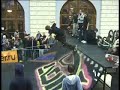 Adio mini ramp contest