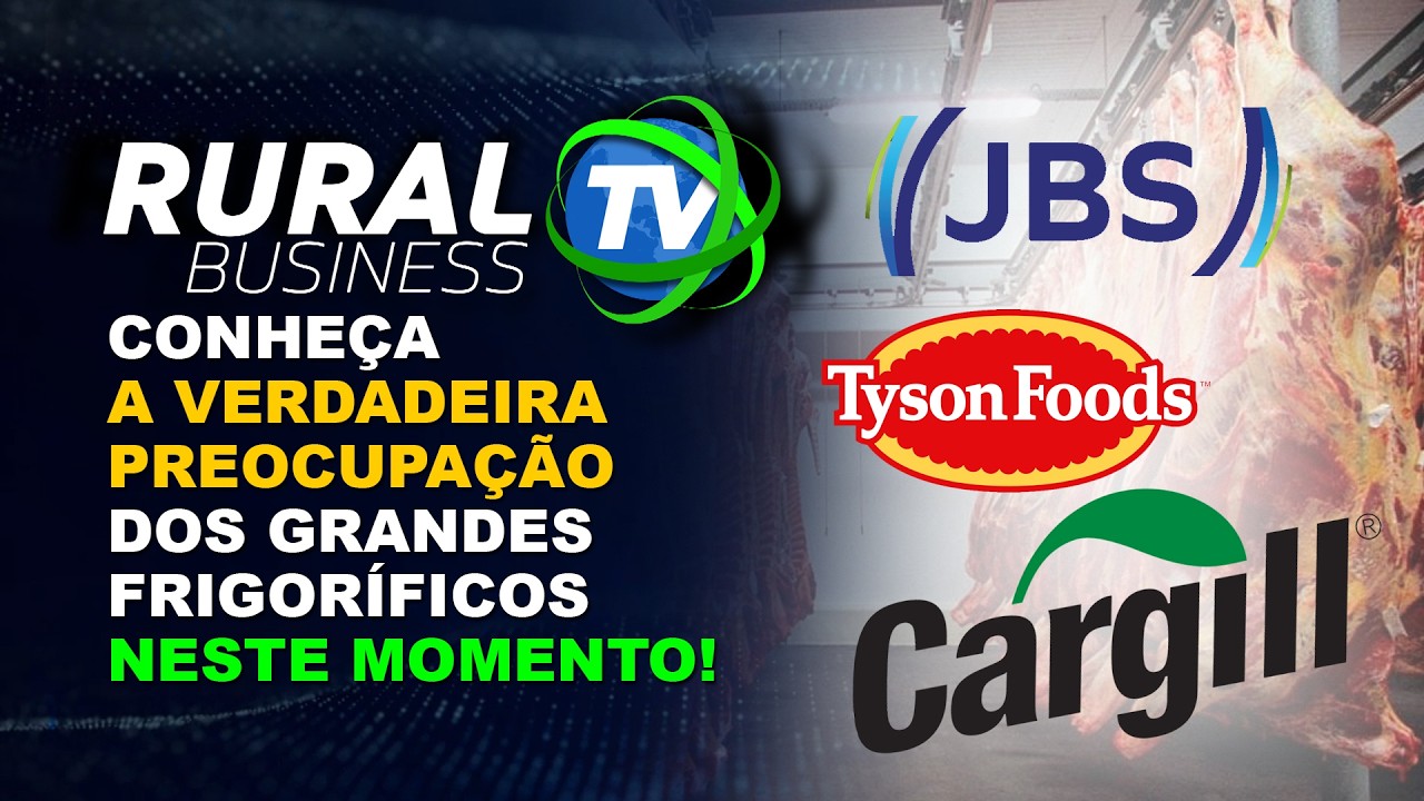 CONHEÇA A VERDADEIRA PREOCUPAÇÃO DOS GRANDES FRIGORÍFICOS NESTE MOMENTO!