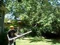 Potato Cannon