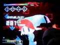 華爛漫 Flowers EXPERT with どせいさん