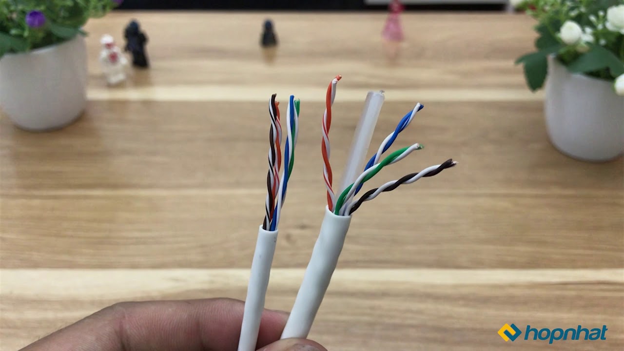Video Clip Cáp mạng Cat6 UTP PVC Legrand