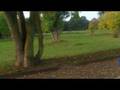 Welcome to Britain Film Poem