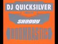 Dj Quicksilver Meets Shaggy - Boombastic Rmx