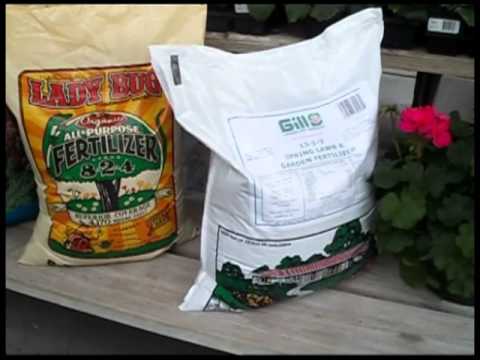 how to fertilize a lawn in the spring