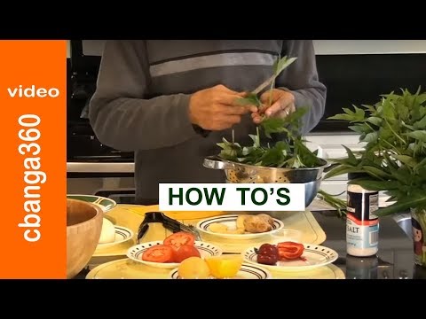 how to grow talbos ng kamote