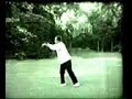 Wu Ying Hwa Wu taichi long form
