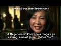 Regenerációs Program 2. rész - A Regeneráció 5000 éves titkai - egészség megőrzés