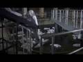 Soylent Green is Ridiculous!!!!