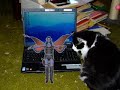Animation experiment1