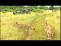 Eco-Friendly Safaris Eco-Friendly Safaris